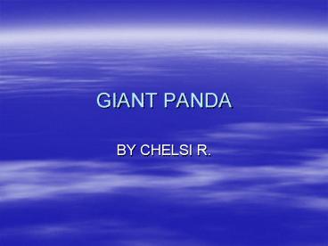 GIANT PANDA