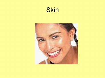 Skin