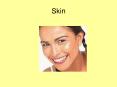 Skin PowerPoint PPT Presentation
