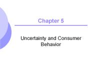 Uncertainty and Consumer Behavior
