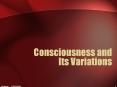 Consciousness and Its Variations PowerPoint PPT Presentation
