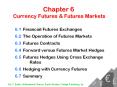 Chapter 6 Currency Futures PowerPoint PPT Presentation
