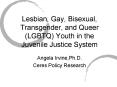 Lesbian, Gay, Bisexual, Transgender, and Queer LGBTQ Youth in the Juvenile Justice System PowerPoint PPT Presentation