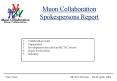 Muon Collaboration Spokespersons Report PowerPoint PPT Presentation
