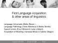 First Language Acquisition PowerPoint PPT Presentation