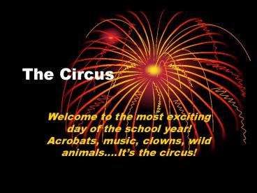 The Circus