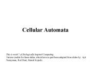 Cellular Automata
