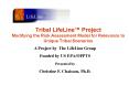 Tribal LifeLine Project Modifying the Risk Assessment Model for Relevance to Unique Tribal Scenarios PowerPoint PPT Presentation