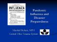 Pandemic Influenza and Disaster Preparedness PowerPoint PPT Presentation