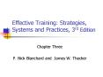 Effective Training: Strategies, Systems and Practices, 3rd Edition PowerPoint PPT Presentation