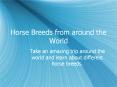 Horse Breeds from around the World PowerPoint PPT Presentation
