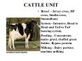 CATTLE UNIT PowerPoint PPT Presentation