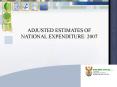 ADJUSTED ESTIMATES OF NATIONAL EXPENDITURE: 2007 PowerPoint PPT Presentation