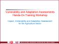 Vulnerability and Adaptation Assessments Hands-On Training Workshop Impact, Vulnerability and Adaptation Assessment for the Agriculture Sector PowerPoint PPT Presentation