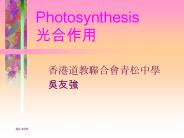 Photosynthesis ????