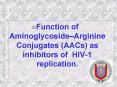 Function of Aminoglycoside PowerPoint PPT Presentation