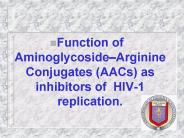 Function of Aminoglycoside