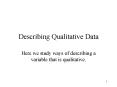 Describing Qualitative Data PowerPoint PPT Presentation