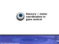 Sensory motor coordination in gaze control PowerPoint PPT Presentation