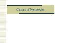 Classes of Nematodes PowerPoint PPT Presentation