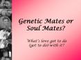 Genetic Mates or Soul Mates PowerPoint PPT Presentation
