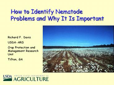 How to Identify Nematode Problems and Why It Is Important
