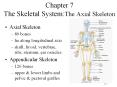 Chapter%207%20The%20Skeletal%20System:The%20Axial%20Skeleton PowerPoint PPT Presentation