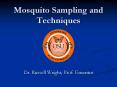 Mosquito Sampling and Techniques PowerPoint PPT Presentation