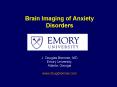 Brain Imaging of Anxiety Disorders PowerPoint PPT Presentation