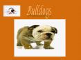 Bulldogs PowerPoint PPT Presentation