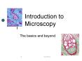 Introduction to Microscopy PowerPoint PPT Presentation