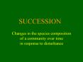 SUCCESSION PowerPoint PPT Presentation