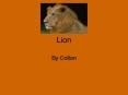 Lion PowerPoint PPT Presentation