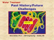 Steve Reiber, Ph.D. 