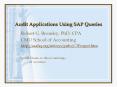 Audit Applications Using SAP Queries PowerPoint PPT Presentation