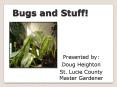 Bugs and Stuff! PowerPoint PPT Presentation