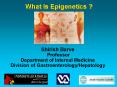 What Is Epigenetics ? PowerPoint PPT Presentation