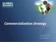 Commercialization Strategy