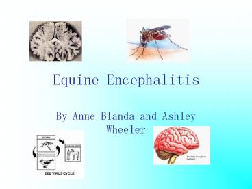 Equine Encephalitis