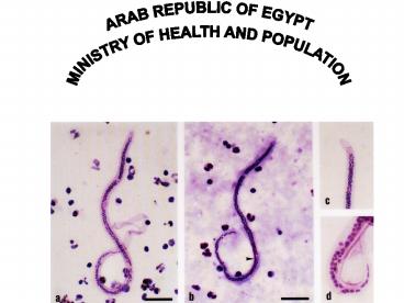 ARAB REPUBLIC OF EGYPT