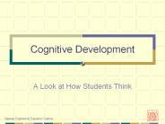Cognitive Development