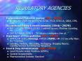 REGULATORY AGENCIES PowerPoint PPT Presentation