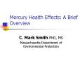 Mercury Health Effects: A Brief Overview PowerPoint PPT Presentation