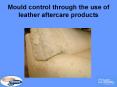 Mould control through the use of leather aftercare products PowerPoint PPT Presentation