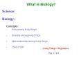 What is Biology? PowerPoint PPT Presentation