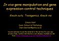 In vivo gene manipulation and gene expressioncontrol techniques PowerPoint PPT Presentation