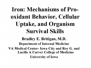 Iron: Mechanisms of Prooxidant Behavior, Cellular Uptake, and Organism Survival Skills