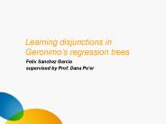 Learning disjunctions in Geronimo