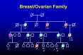 Repair of DNA double-strand breaks and susceptibility to breast cancer PowerPoint PPT Presentation
