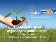 Bioavailability of organophosphates in soil Tanya Caceres Supervisors: M' Mallavarapu, R' Naidu PowerPoint PPT Presentation